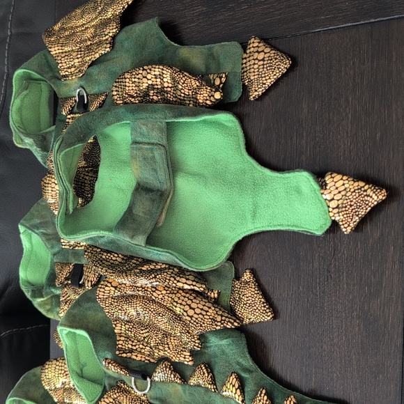 Small Pet Dragon outfit - Picture 4 of 9